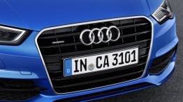 Audi A3 III Cabriolet 2.0 TFSI quattro (2014) - grill