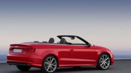 Audi A3 III Cabriolet 2.0 TDI (2014) - prawy bok