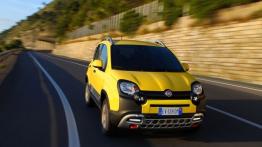 Fiat Panda III Cross (2014) - widok z przodu