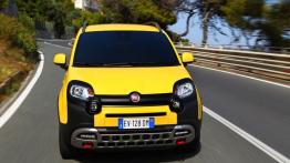 Fiat Panda III Cross (2014) - widok z przodu