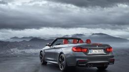 BMW M4 F83 Cabrio (2014) - widok z tyłu