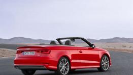 Audi A3 III Cabriolet 2.0 TDI (2014) - widok z tyłu