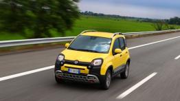 Fiat Panda III Cross (2014) - widok z przodu