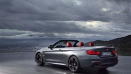 BMW M4 F83 Cabrio (2014) - widok z tyłu