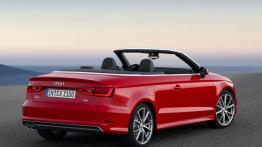 Audi A3 III Cabriolet 2.0 TDI (2014) - widok z tyłu