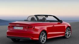 Audi A3 III Cabriolet 2.0 TDI (2014) - widok z tyłu