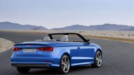 Audi A3 III Cabriolet 2.0 TFSI quattro (2014) - widok z tyłu