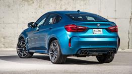 BMW X6 II M (2015) - widok z tyłu