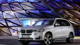 BMW X5 III xDrive40e (2015) - widok z przodu