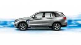 BMW X5 III xDrive40e (2015) - lewy bok