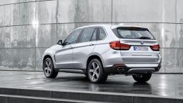 BMW X5 III xDrive40e (2015) - widok z tyłu