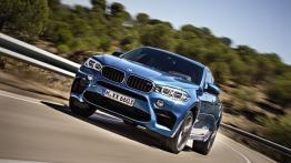 BMW X6 II M (2015) - widok z przodu