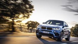 BMW X6 II M (2015) - widok z przodu