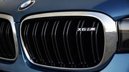 BMW X6 II M (2015) - grill