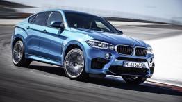 BMW X6 II M (2015) - prawy bok