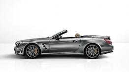 Mercedes SL R231 Roadster AMG 63 AMG 537KM 395kW 2012-2015