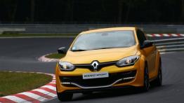 Renault Megane III Coupe Facelifting 2013 Energy dCi 130KM 96kW 2013-2015