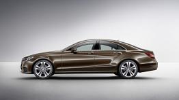 Mercedes CLS 250 BlueTEC C218 Facelifting (2015) - lewy bok