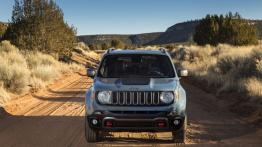 Jeep Renegade Trailhawk (2015) - widok z przodu