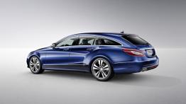 Mercedes CLS 400 BlueTEC Shooting Brake X218 Facelifting - lewy bok