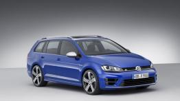 Volkswagen Golf VII R Variant (2015) - prawy bok