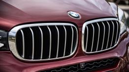 BMW X6 II M50d (2015) - grill