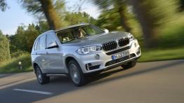 BMW X5 III xDrive40e (2015) - widok z przodu