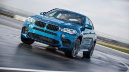 BMW X6 II M (2015) - widok z przodu