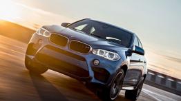 BMW X6 II M (2015) - widok z przodu