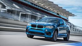 BMW X6 II M (2015) - widok z przodu