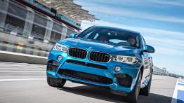 BMW X6 II M (2015) - widok z przodu