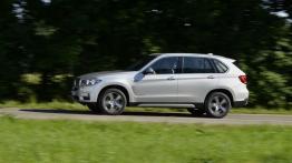 BMW X5 III xDrive40e (2015) - lewy bok