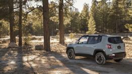 Jeep Renegade Trailhawk (2015) - lewy bok