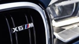 BMW X6 II M (2015) - logo