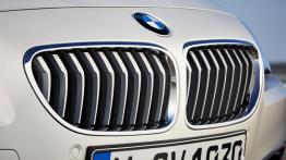 BMW serii 6 Gran Coupe F06 Facelifting (2015) - grill