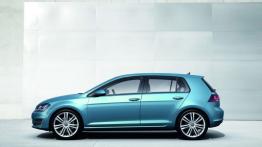 Volkswagen Golf VII Hatchback 5d - lewy bok