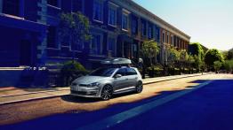 Volkswagen Golf VII Hatchback 5d - lewy bok