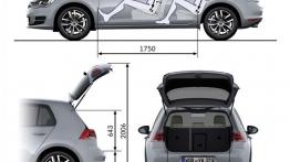 Volkswagen Golf VII Hatchback 5d - szkic auta - wymiary