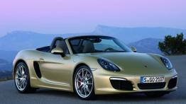 Porsche Boxster 981 Cabrio 3.4 315KM 232kW 2012-2016