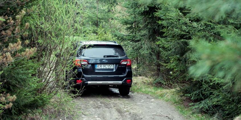 Subaru Outback - podmiejski krążownik