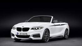 BMW Seria 2 F22-F23-F45-F46 Cabrio 218d 150KM 110kW 2015-2017