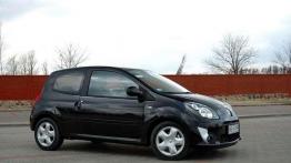 Czy warto kupić: używane Renault Twingo II (od 2007)