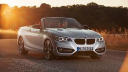 BMW Seria 2 F22-F23-F45-F46 Cabrio 218d 150KM 110kW 2015-2017