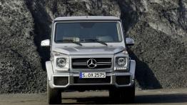 Mercedes Klasa G W463 Off-roader długi Facelifting AMG G 63 AMG 544KM 400kW 2012-2017