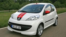 Peugeot 107 Hatchback 3d 1.0 12V 68KM 50kW 2005-2008