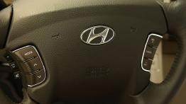 Hyundai Sonata 2008 - sterowanie w kierownicy