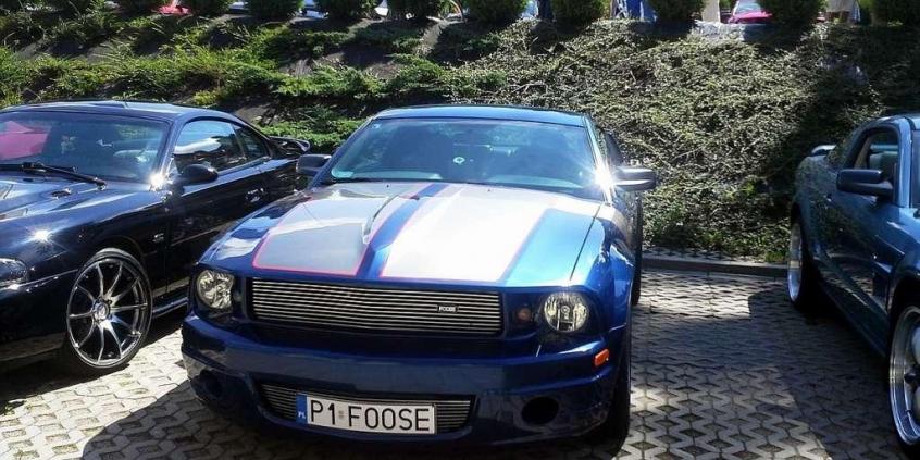 Mustang Race - prawie jak w USA