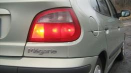 Renault Megane I Hatchback 1.6 i 75KM 55kW 1996-1999