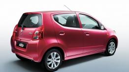 Suzuki Alto 2009 - prawy bok