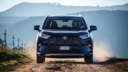 Toyota RAV4 (2019) - widok z przodu